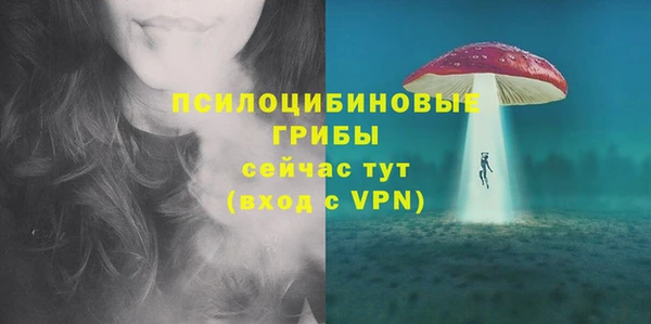 трава Беломорск