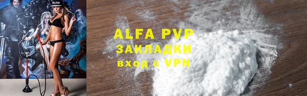спиды Белокуриха