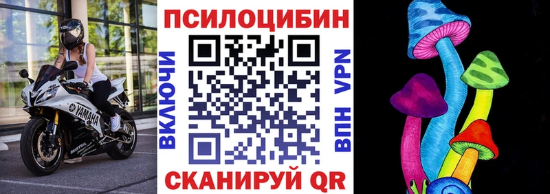 Галлюциногенные грибы Magic Shrooms  Котельниково 